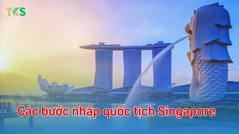 các bước nhập quốc tịch singapore