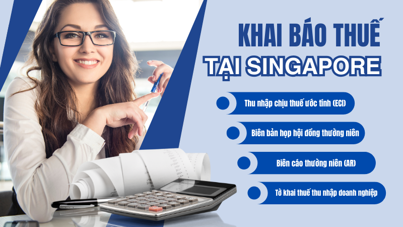 dịch vụ khai báo thuế cho doanh nghiệp tại singapore