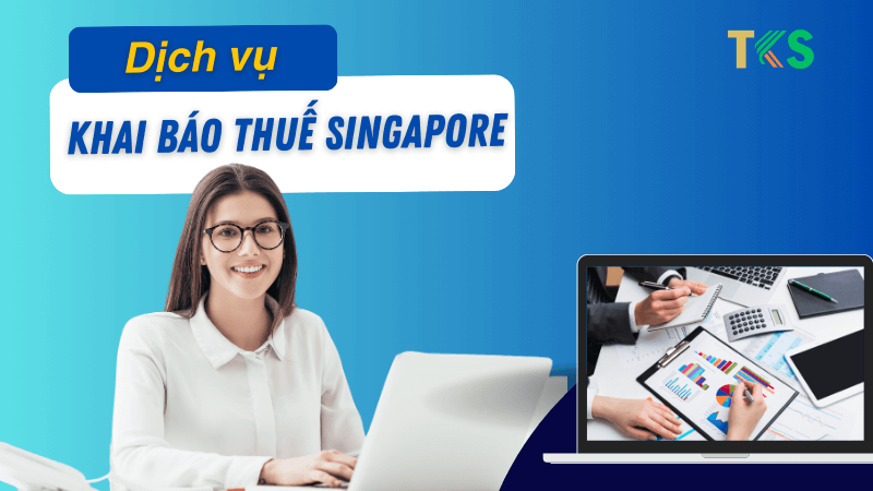 dịch vụ khai báo thuế thu nhập cá nhân tại singapore
