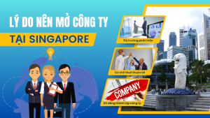 lý do nên mở công ty tại Singapore