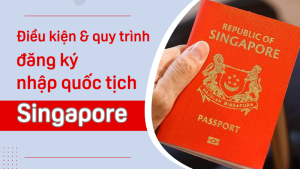 nhập quốc tịch singapore